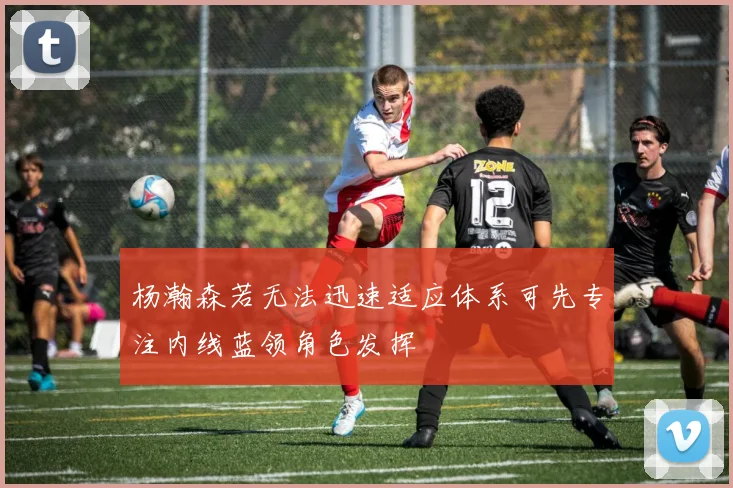 杨瀚森若无法迅速适应体系可先专注内线蓝领角色发挥